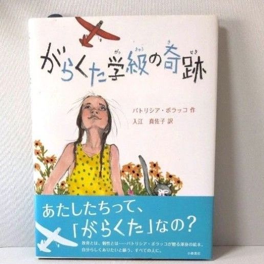 垃圾班的奇迹 帕特里夏·波拉科 著 入江尚子 译