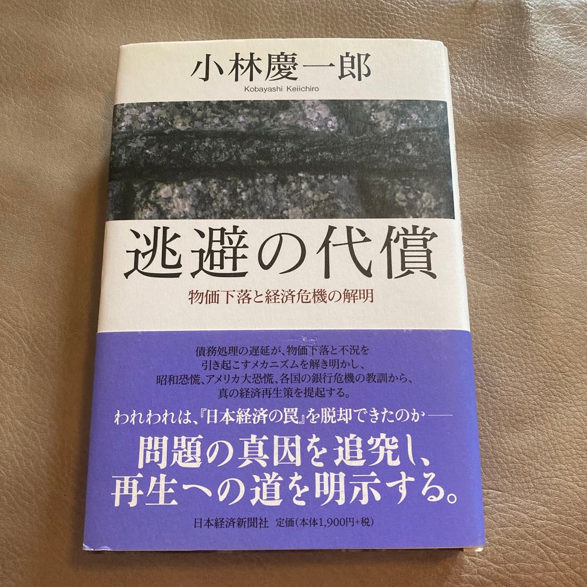 逃避的代价——物价下跌与经济危机的剖析 小林庆一郎 著
