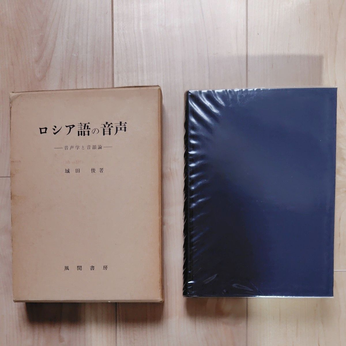 俄语语音：语音学与音位学，城田俊著，风间书房