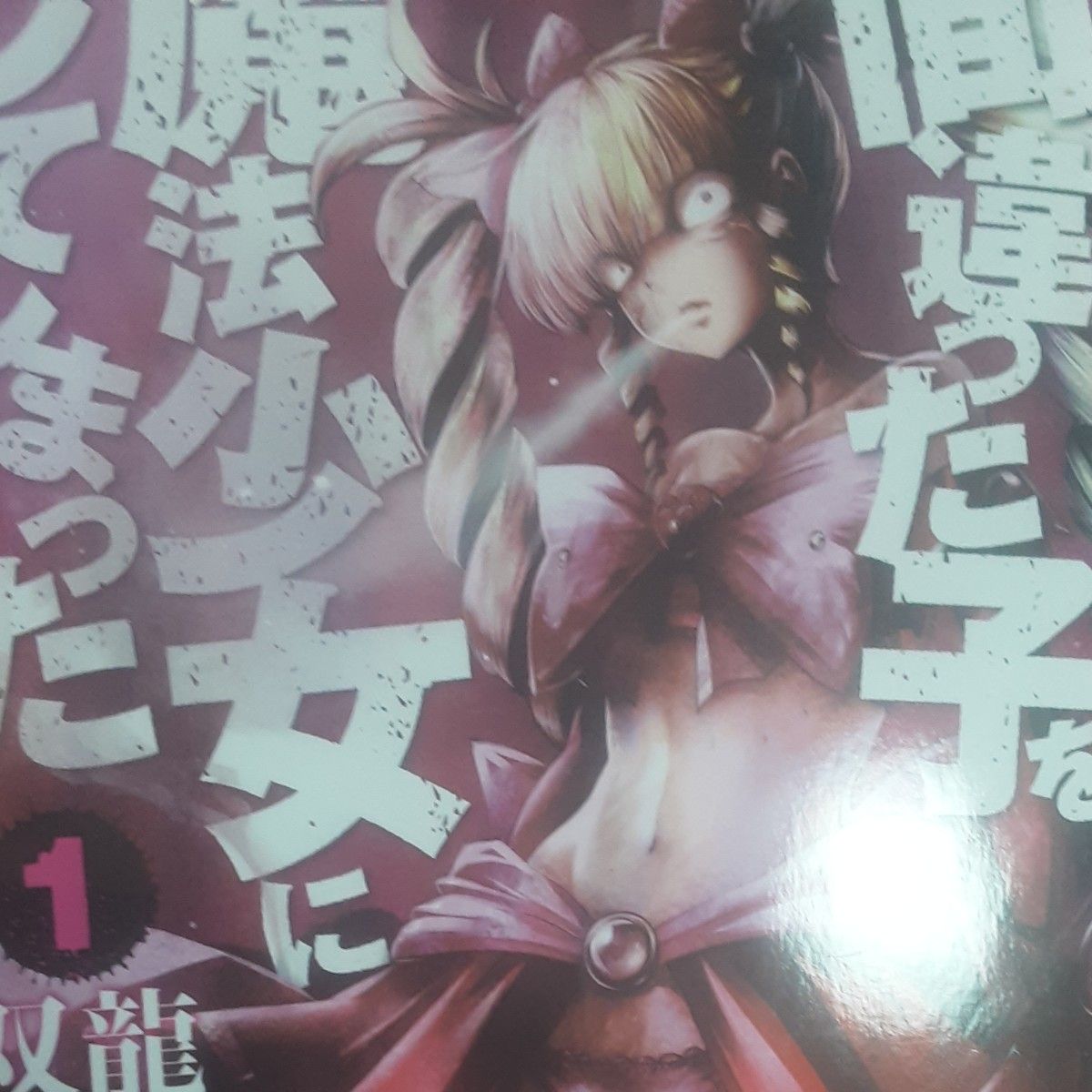 双龍「間違った子を魔法少女にしてしまった」①~④4冊セット。