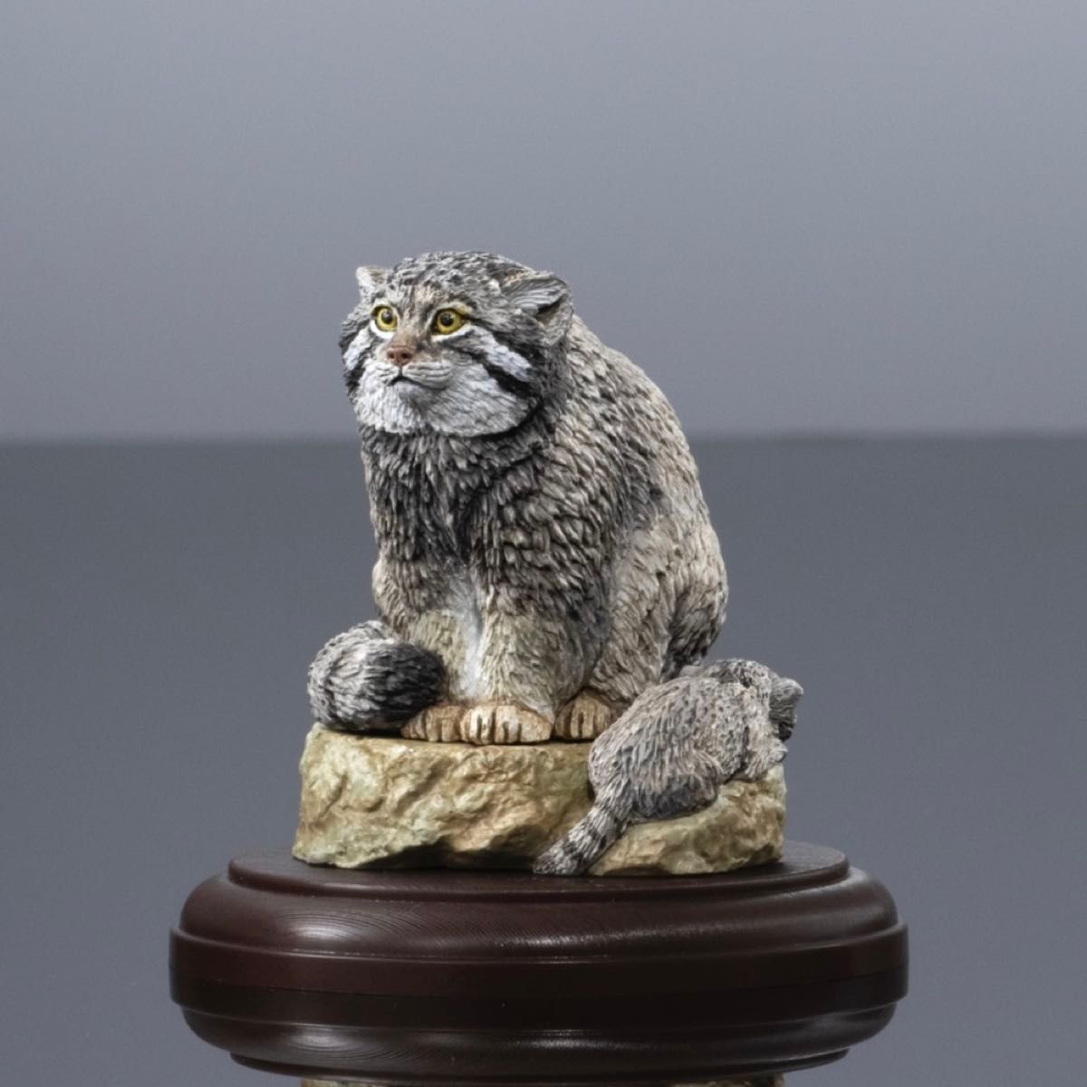 生物大图鉴显示器模型收藏野生猫科动物马努尔猫