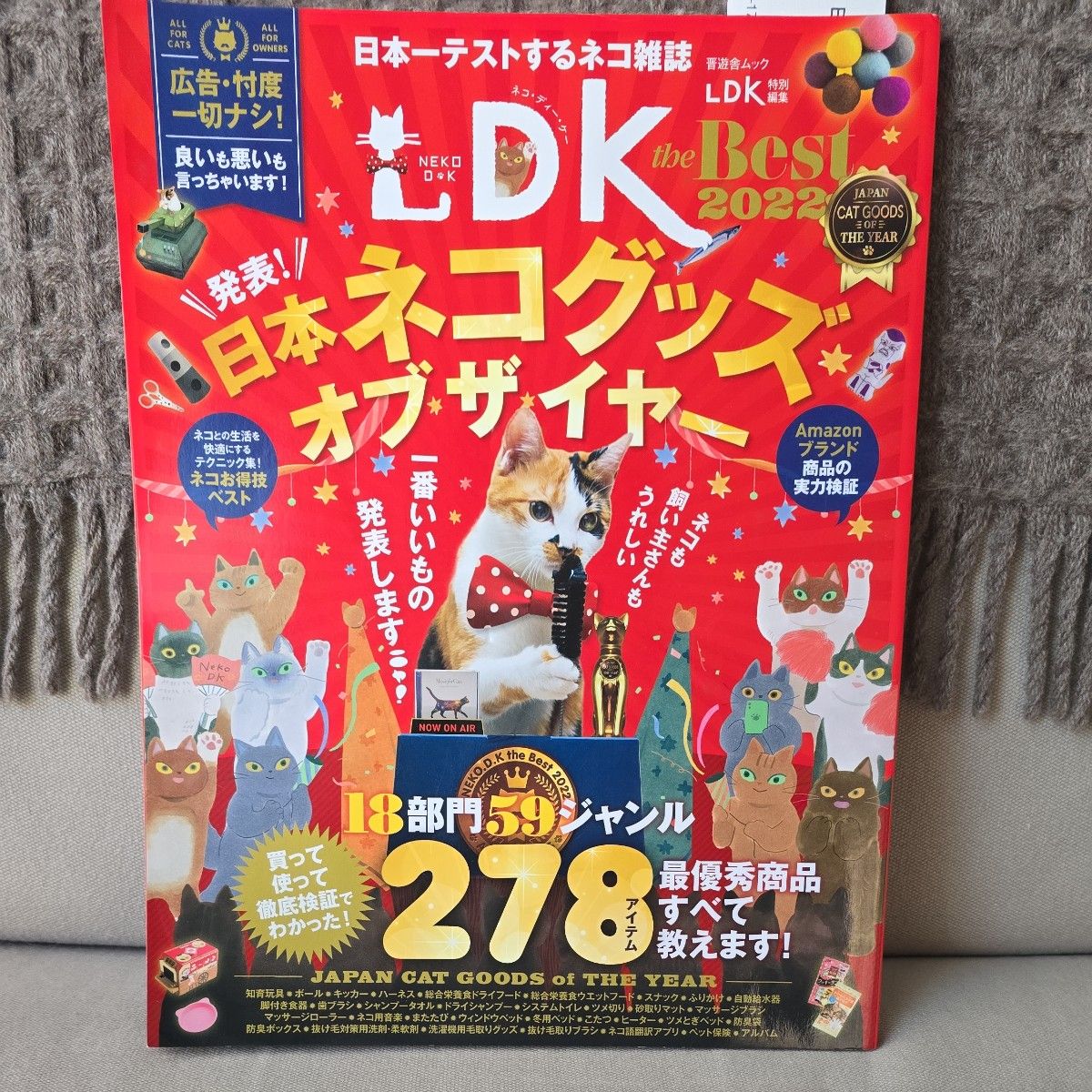 猫DK 2022精选 新手 初次养猫