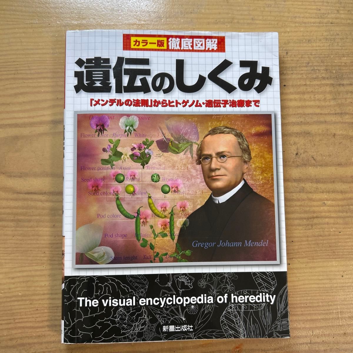 遗传的机制——从“孟德尔定律”到人类基因组与基因治疗（彩色版详尽图解） 经冢淳子／监修
