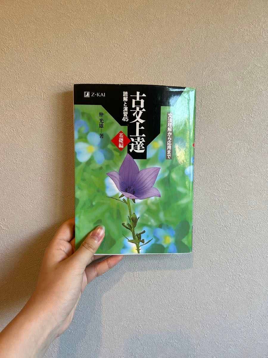 古文精通 阅读与练习45 基础篇 Z-KAI 仲光雄 著