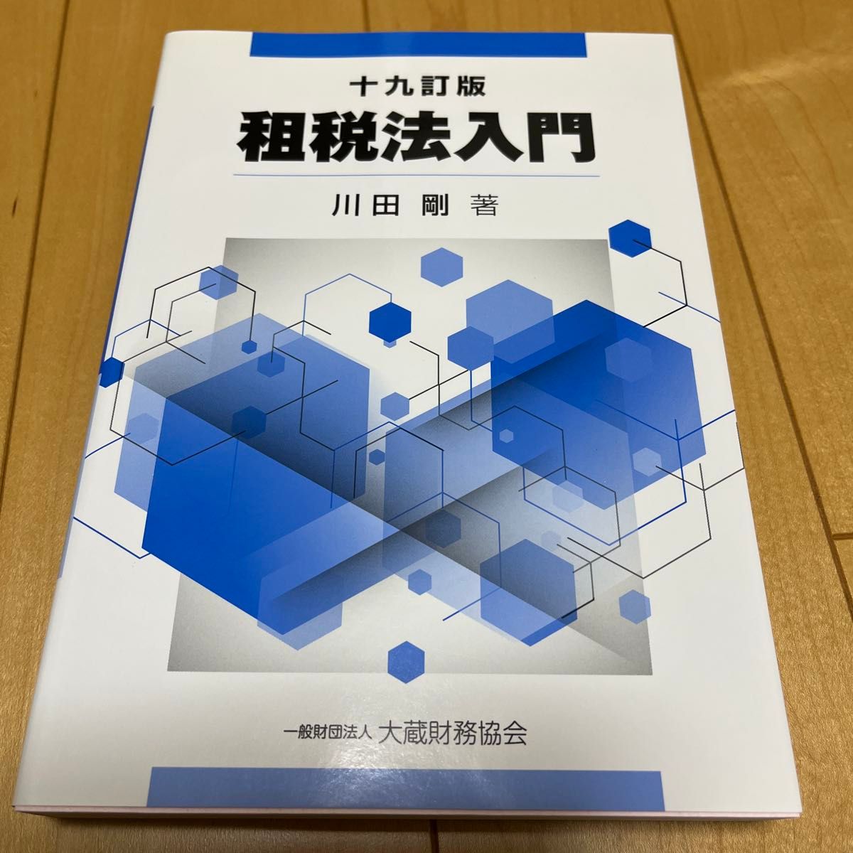 税法入门(第19版) 川田刚 著