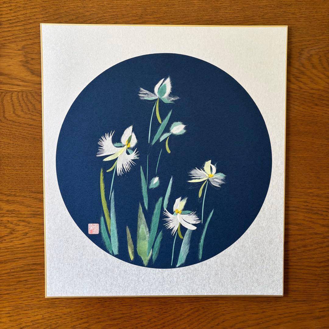 和纸撕画 鹭草 色纸 成品 鹭草 花 植物 手工