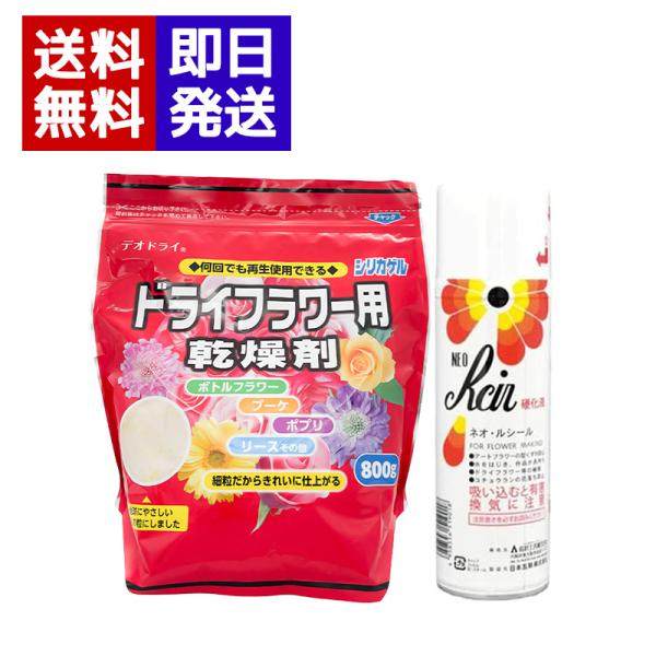 ドライフラワー用乾燥剤 シリカゲル800g + 硬化液スプレー ネオ・ルシール 220ml