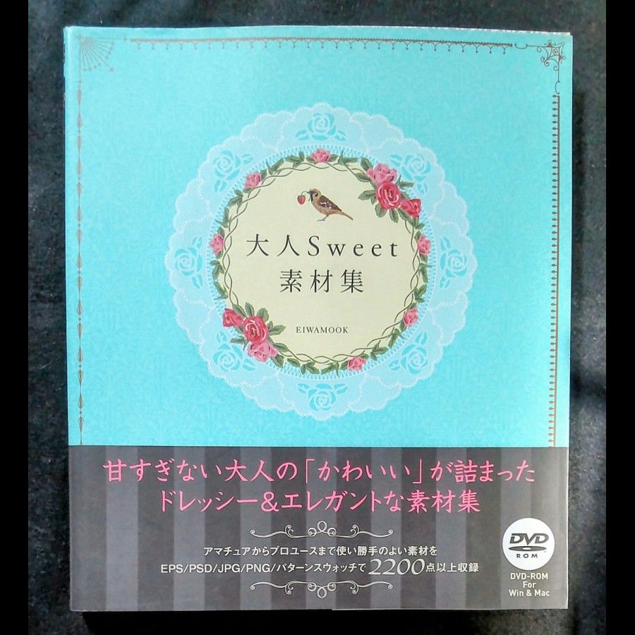 【插画素材DVD未拆封】成人甜美素材集 珠宝·蕾丝·装饰边框等