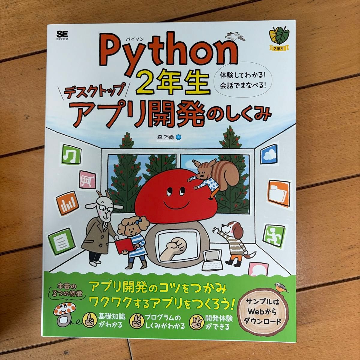Python 二年级 桌面应用开发原理 森巧尚