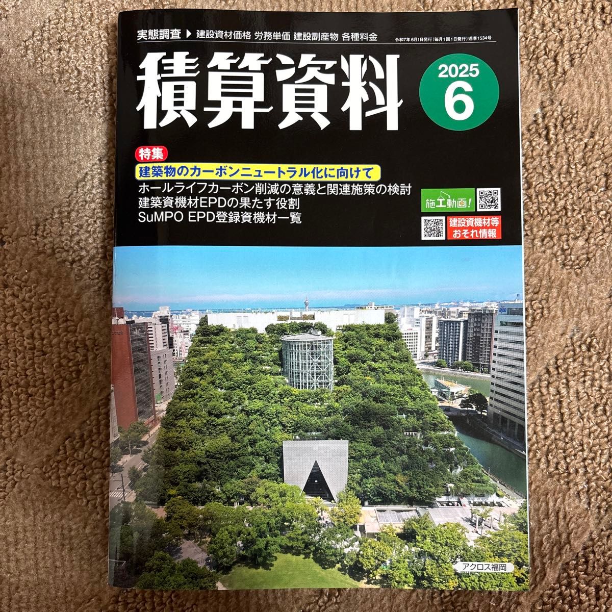 《积算资料》2025年6月号 经济调查会 建设材料价格 劳务单价