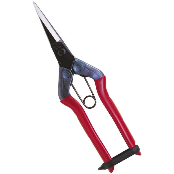 Chikamasa T-550 Pruning Buds Shears