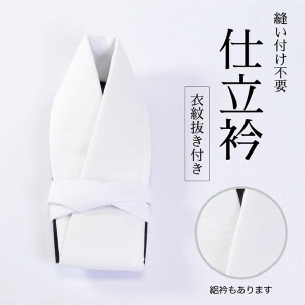 立领 【夹衣/单衣用/夏季用】 白色 缝制好的领子 无需缝合 假半衿 领口造型 3档系绳孔 和服 日本传统服饰 穿着配件 全年适用 罗纱 可拆卸领子 租赁 试穿用 展示用 爆款