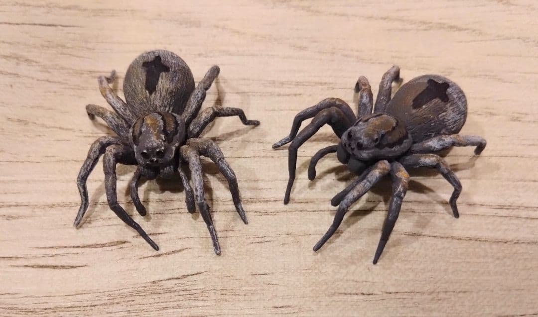 Rare Mysterious Creatures Encyclopedia: Ounin's Capturer Poisonous Spider Tarantula Trapdoor Spider 2-Piece Set