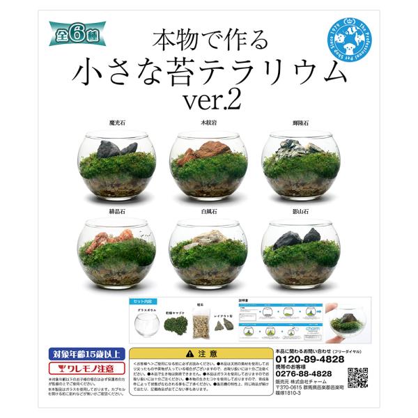 Assorted Real Moss Terrarium Capsule Toy ver.2