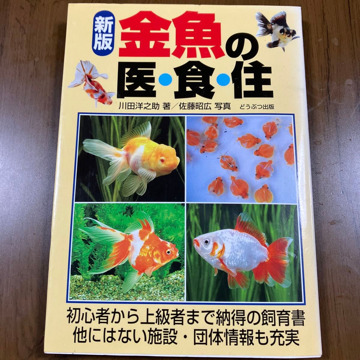 新版 金魚の医・食・住 川田洋之助 著 佐藤昭広 写真 どうぶつ出版