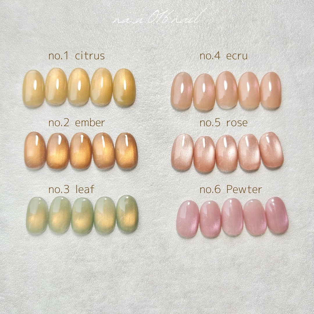 no.1-6 Select Magnet Nail / Nail Tips