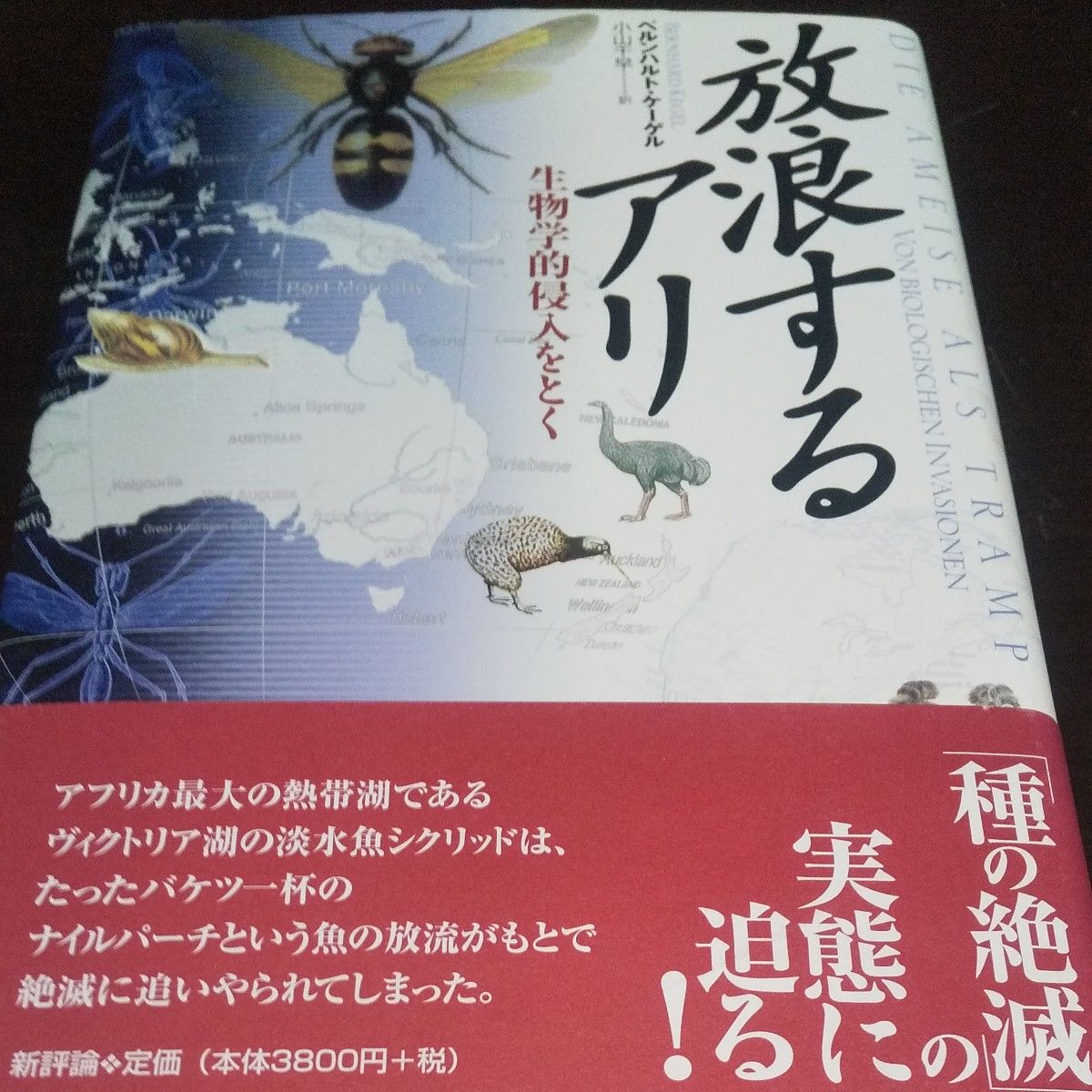 【流浪的蚂蚁】《生物入侵》