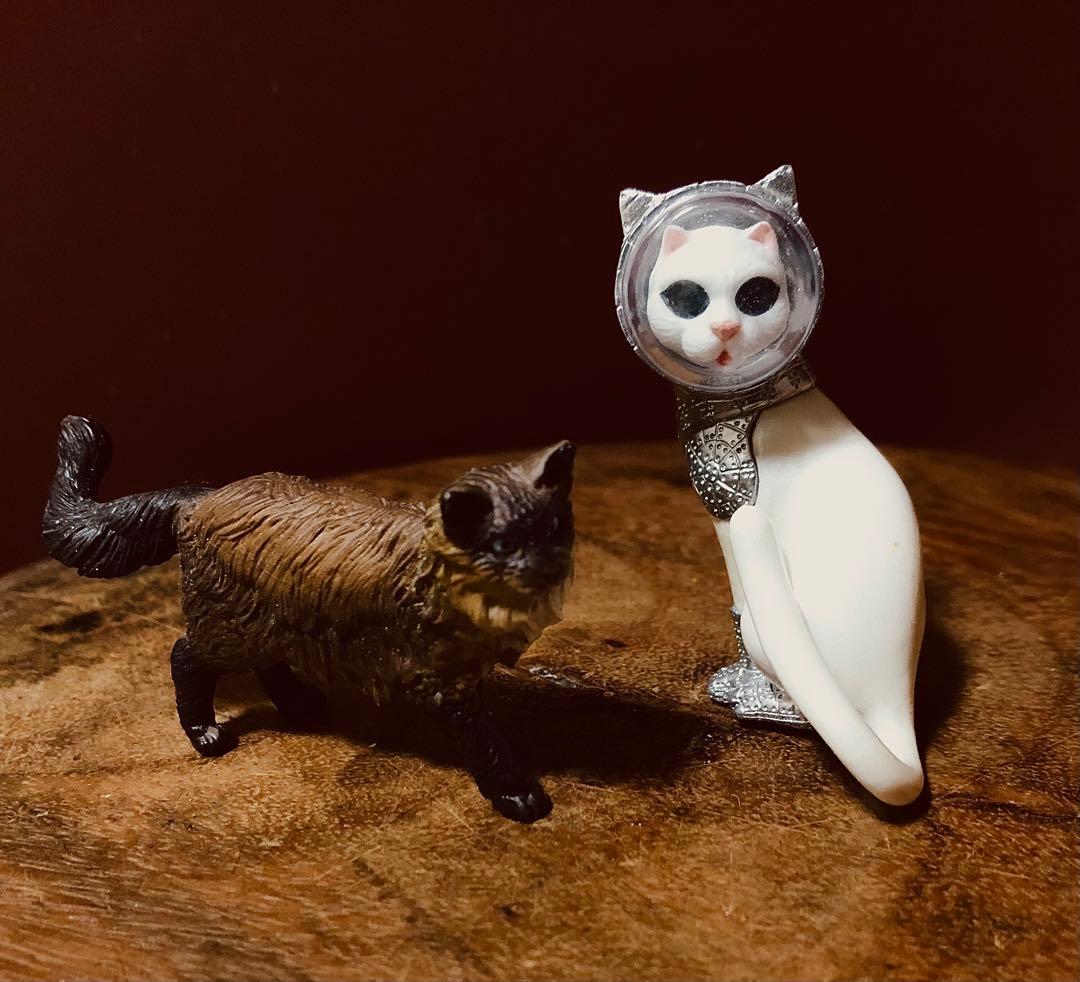 (Cat Figure) Schleich (Ragdoll) KENJI YANOBÉ (SHIP'S CAT)