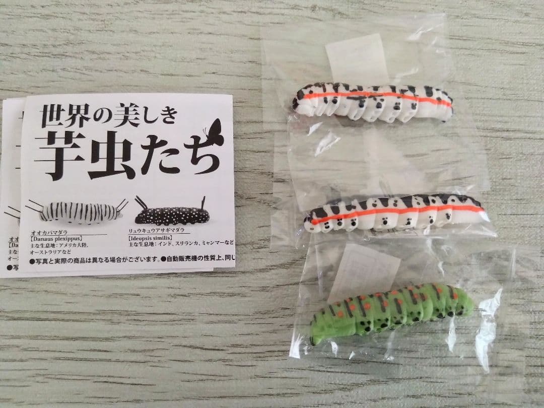 Beautiful Caterpillars of the World Figure 3-Piece Set