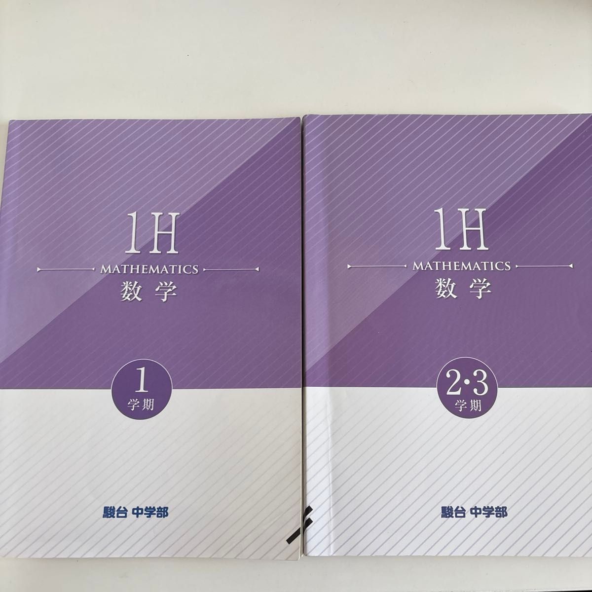 Juntai 中学部 数学 1H 第一学期 2・3学期 2册套装