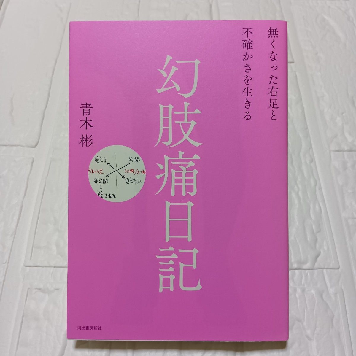 幻肢痛日记消失的右脚和不确定的青木彬/着