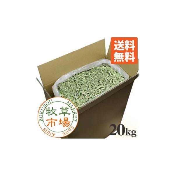牧草市場 USチモシー 1番刈り（特選プレミアム）牧草 ダブルプレス 20kg袋入【sg】