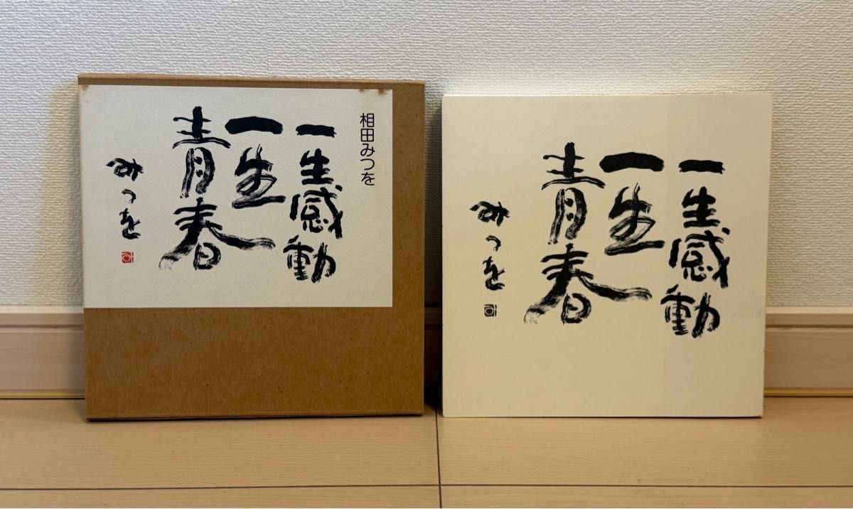 相田みつを『一生感動 一生青春' (Aida Mitsuo: 'Lifetime of Emotion, Lifetime of Youth')』