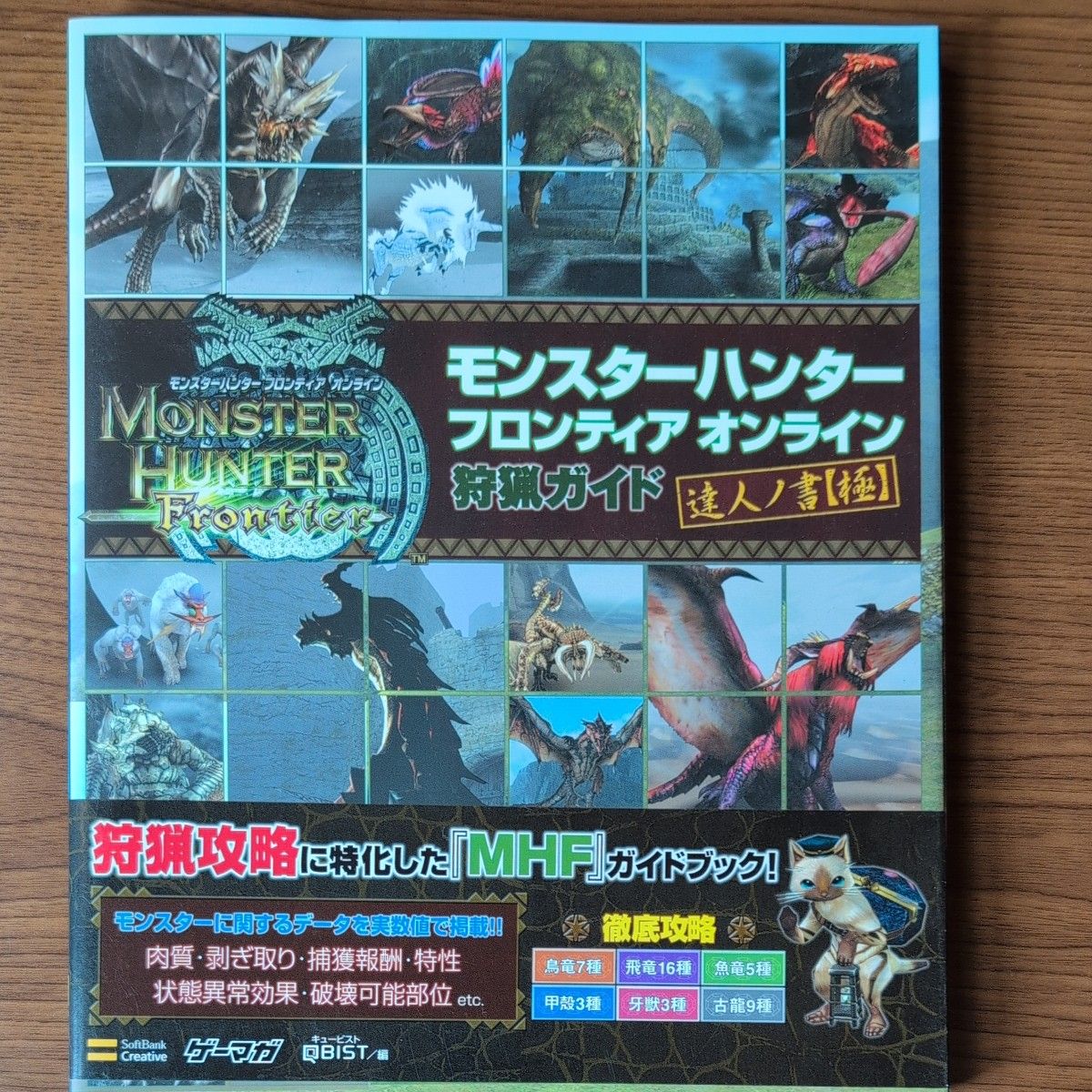 怪物猎人 Frontier Online 特选指南 达人之书【极】