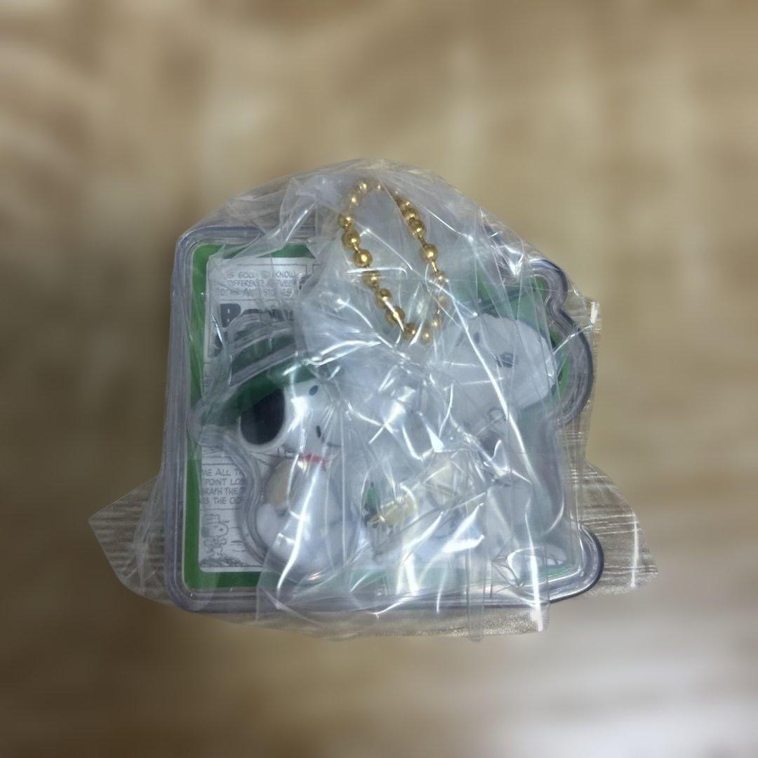 PEANUTS Snoopy Package Charm Beagle Scout