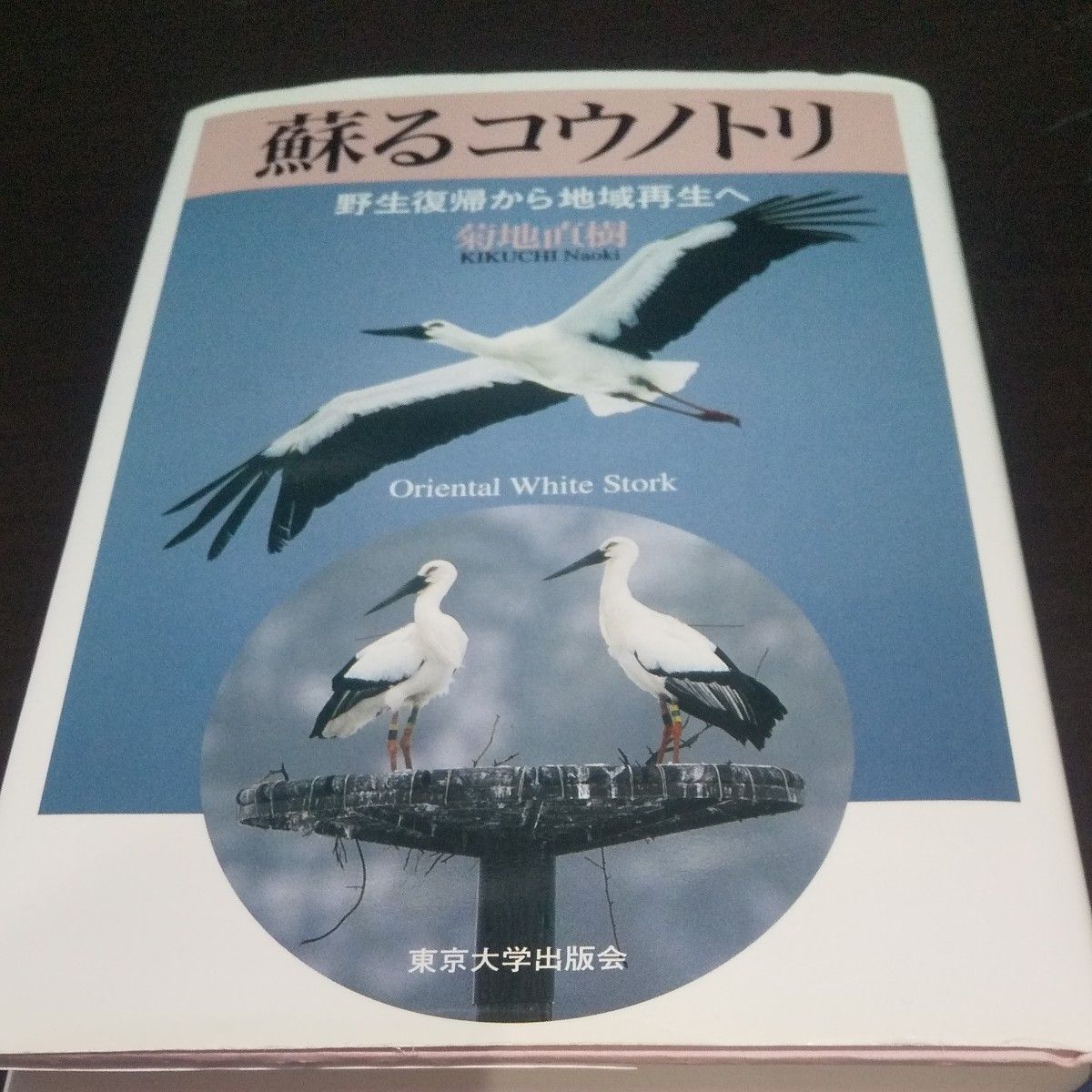 [Resuscitating Stork] From Return to Community Regeneration