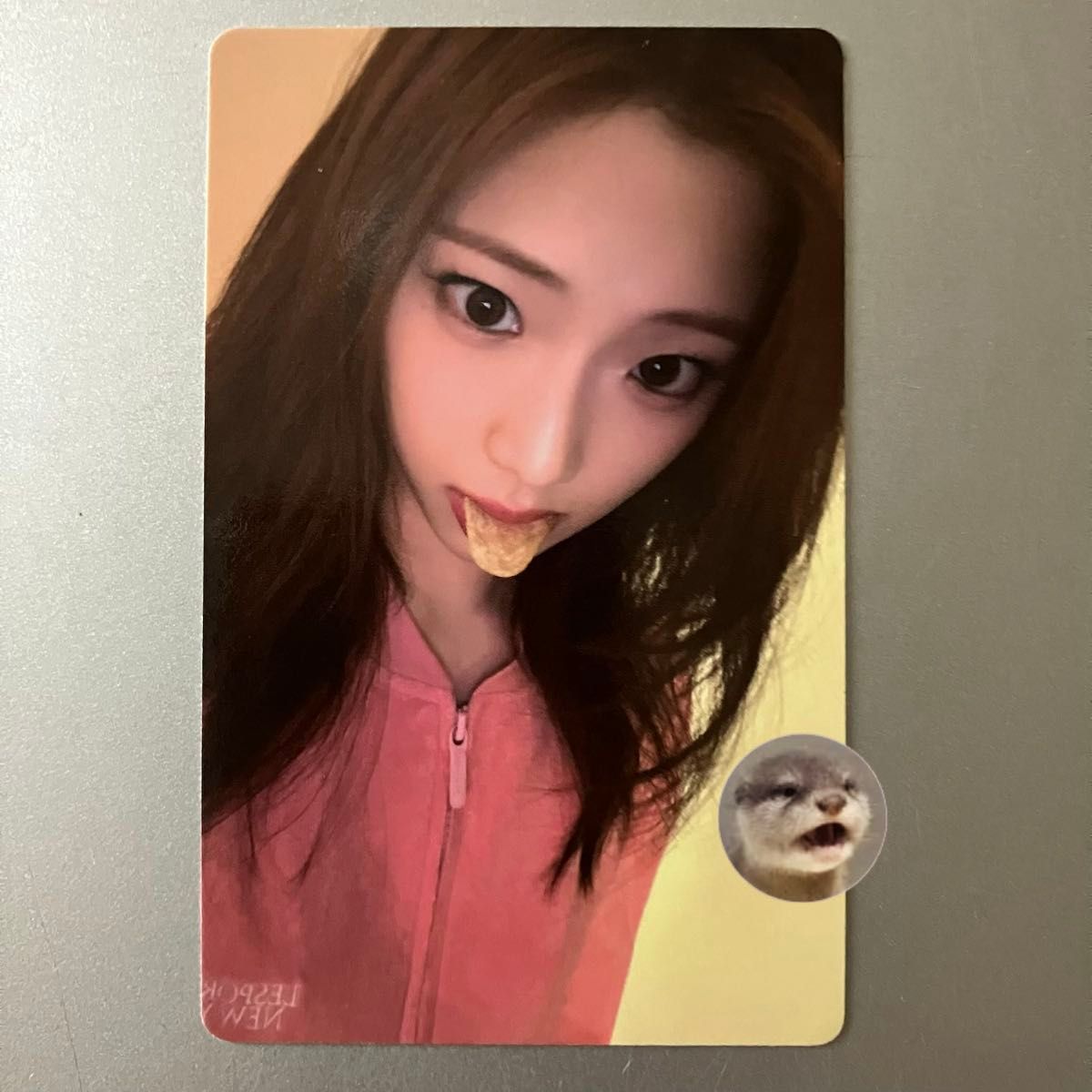 BABYMONSTER CHOOM Weverse 预购特典D 露卡