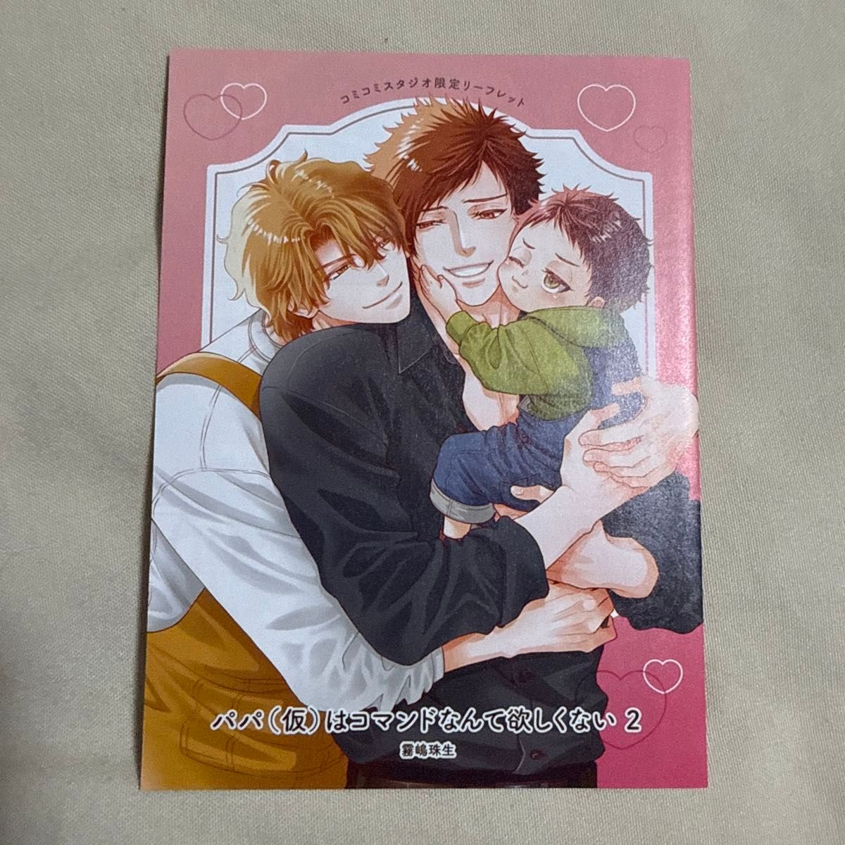 爸爸 (临时) 不想要指令2漫画工作室小册子