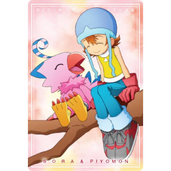 【NO.3 Sora Takenouchi & Biyomon (Normal)】 Digimon Visual Art Collection Card Wafer