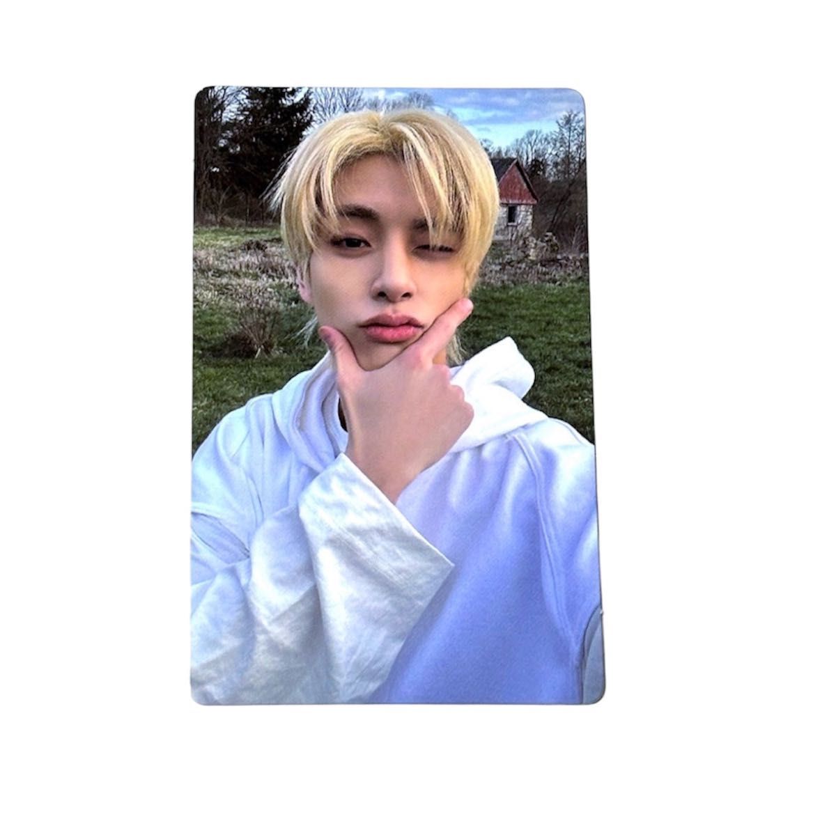 ENHYPEN 杰克 darkblood weverse 专辑 纸卡