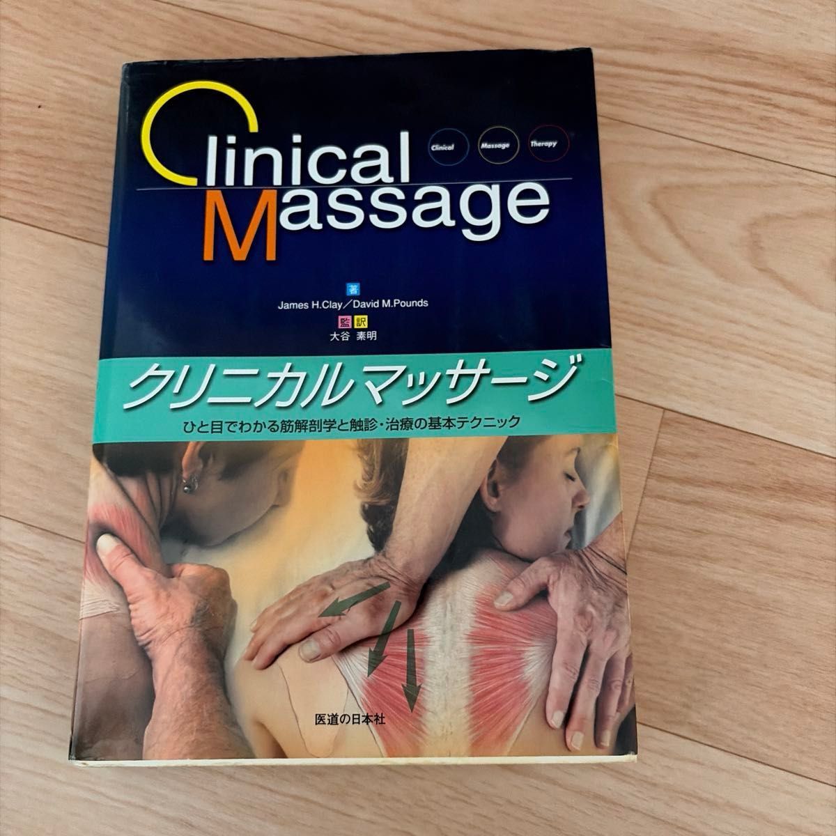 临床按摩：一目了然的肌肉解剖学与触诊·治疗基本技巧