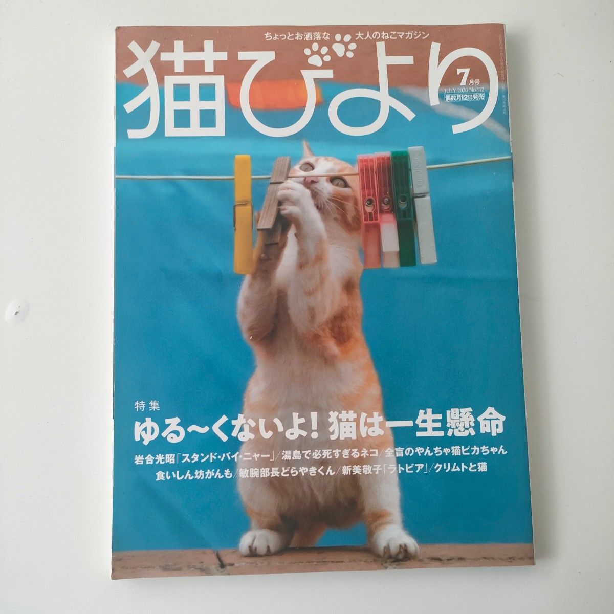 2020年7月号No.112大人的猫杂志