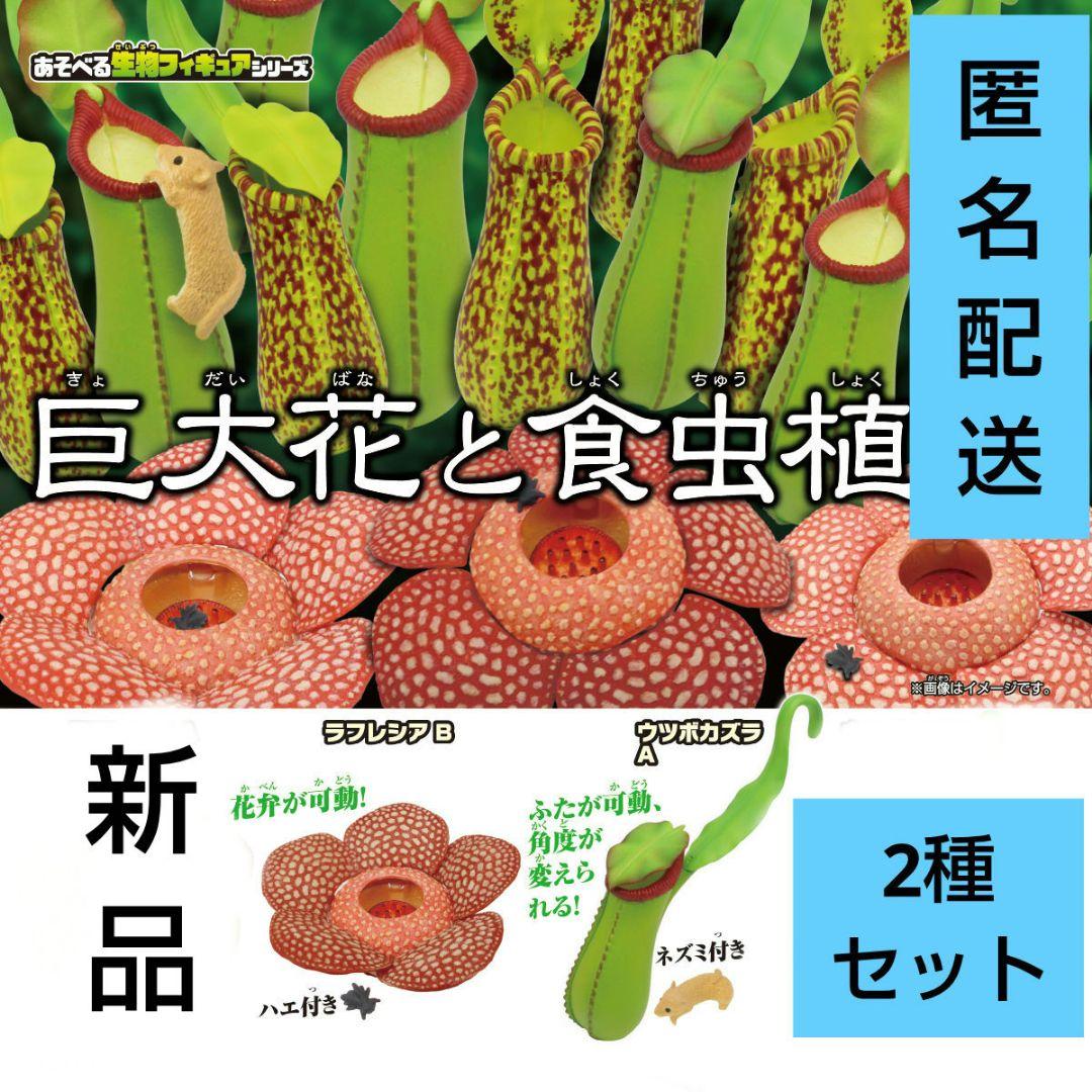 Giant Flowers and Carnivorous Plants Set Realistic Miniature Figures Plant Encyclopedia Diorama