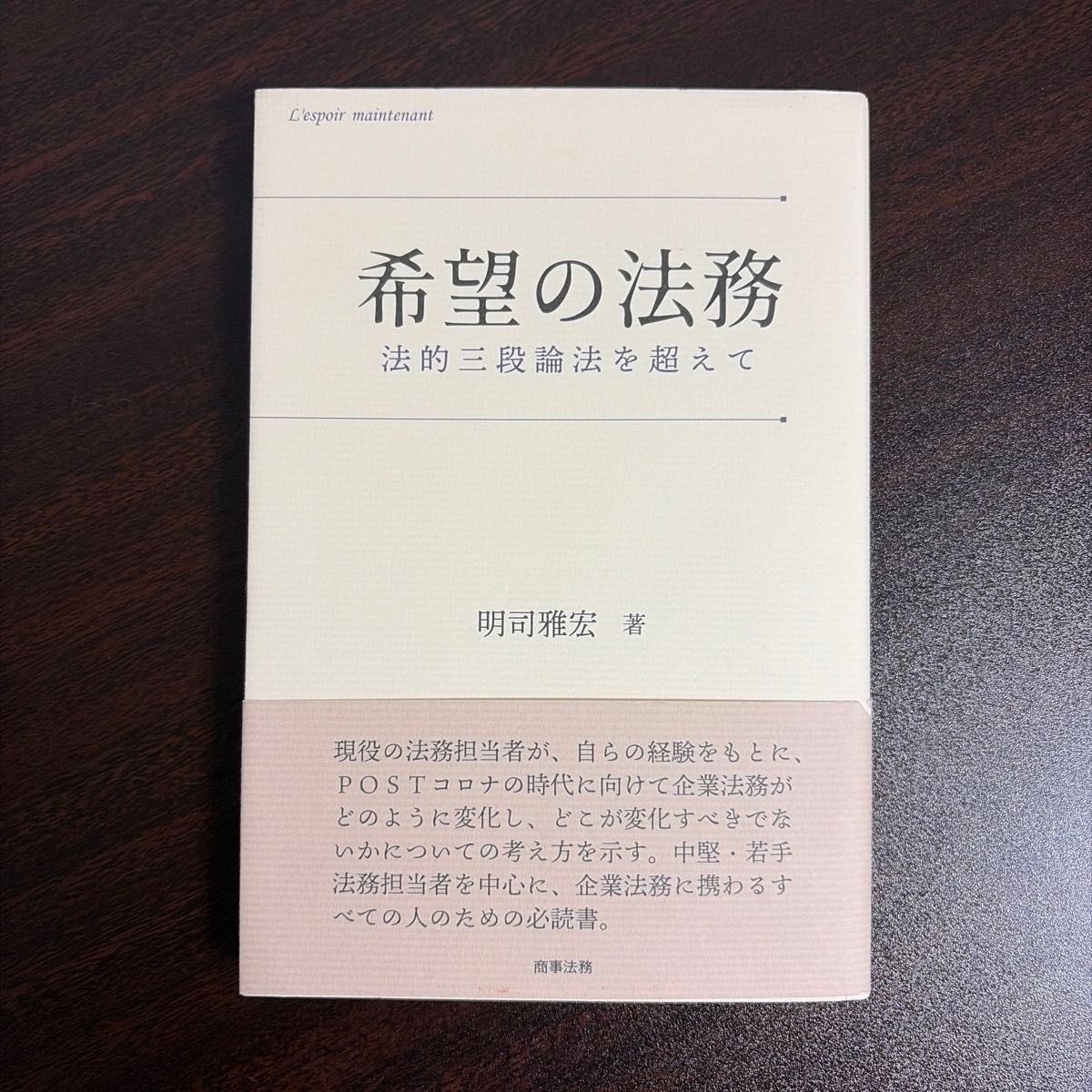 希望的法务：超越法律三段论 明司雅宏 著