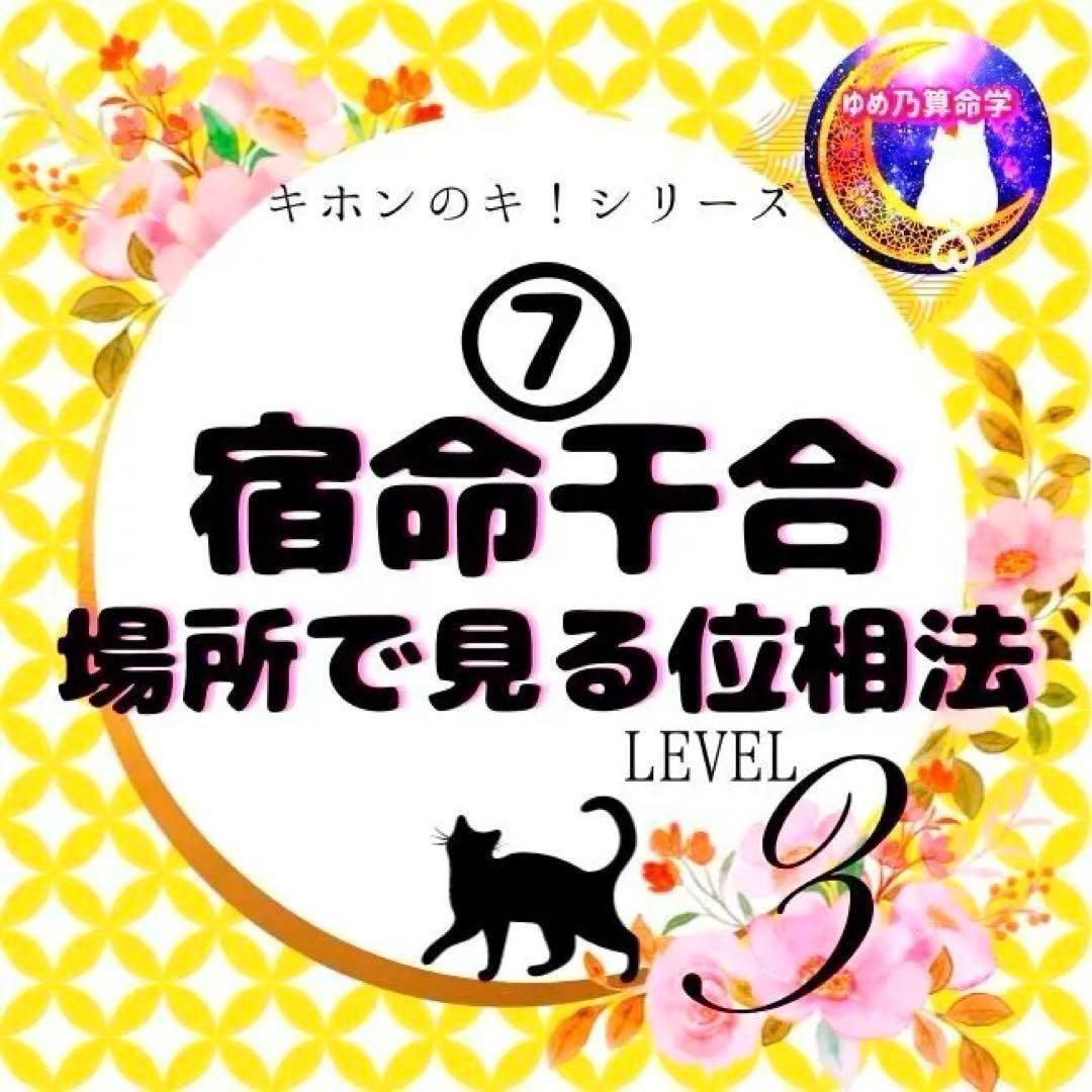 【キホン】⑦宿命干合/場所で見る位相法 レベル3 鑑定 本 占い