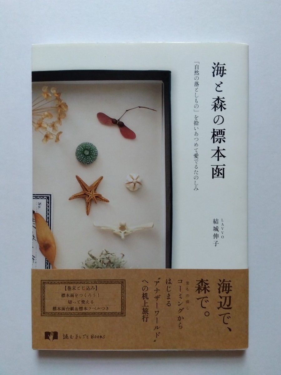 結城伸子　海と森の標本函　自然の落としものを拾いあつめて愛でるたのしみ