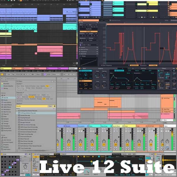 Ableton Live 12 Suite(不支持货到付款)(在线交付)