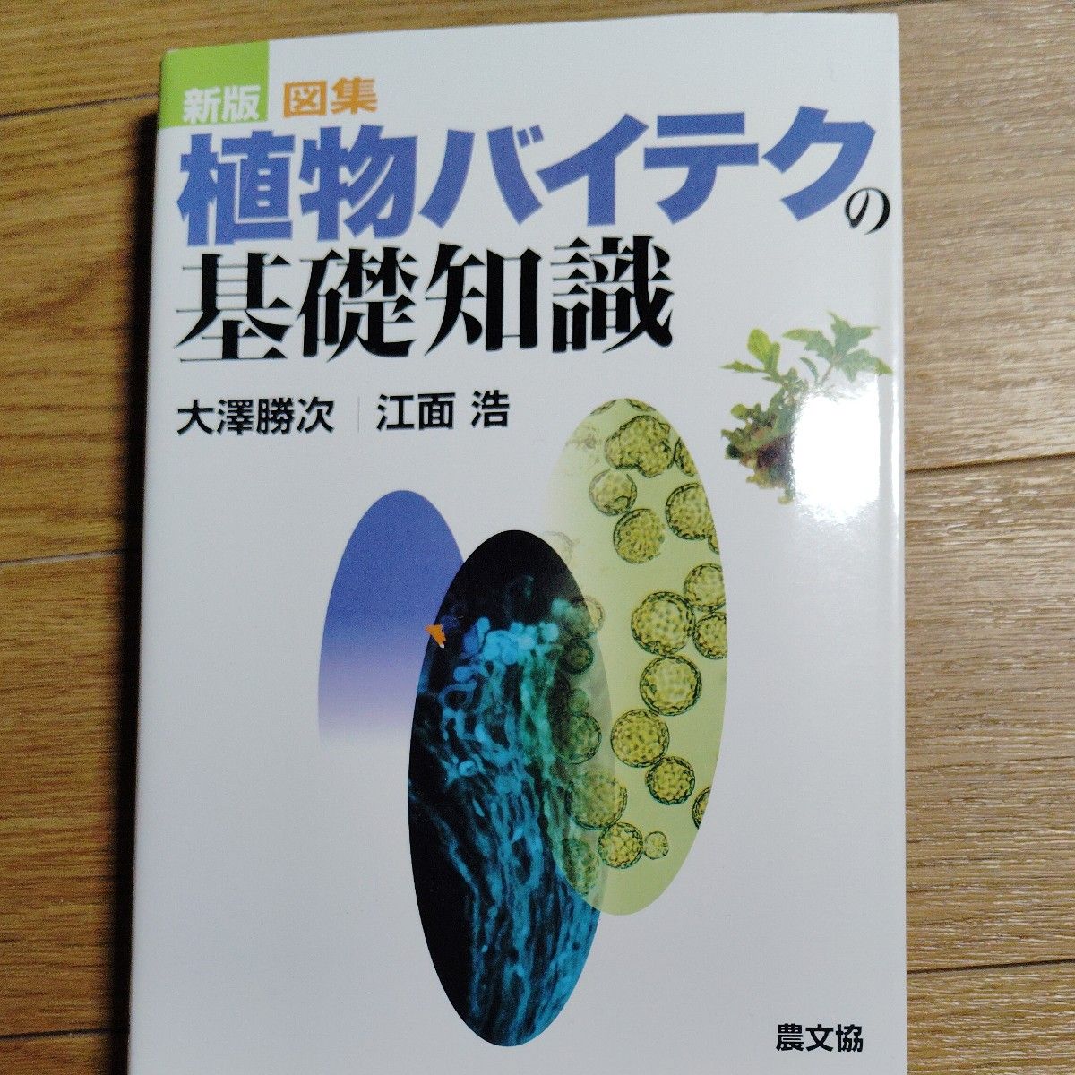 图集 · 植物生物技术的基础知识 (新版) 大泽胜次/着江面浩/着