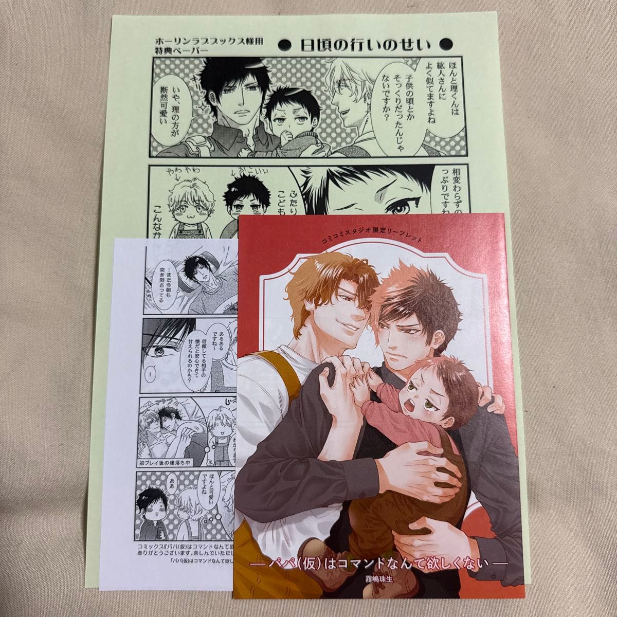 爸爸 (临时) 不想要指令之类的特典霍林漫画动画小册子 (折叠发送)