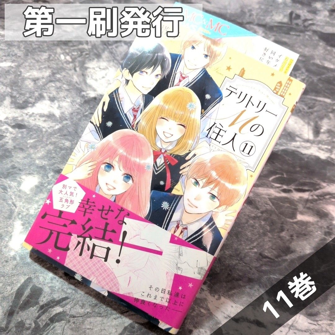 【第一刷発行】テリトリーMの住人 11巻