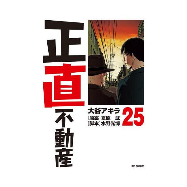 正直不动产 25/大谷彰/夏原武/水野光博