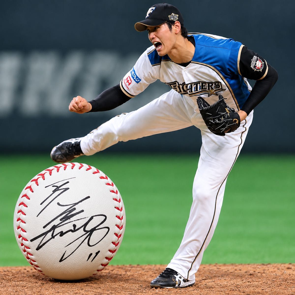 【激レア品】大谷翔平 直筆サインボール 日本ハムファイターズ時代