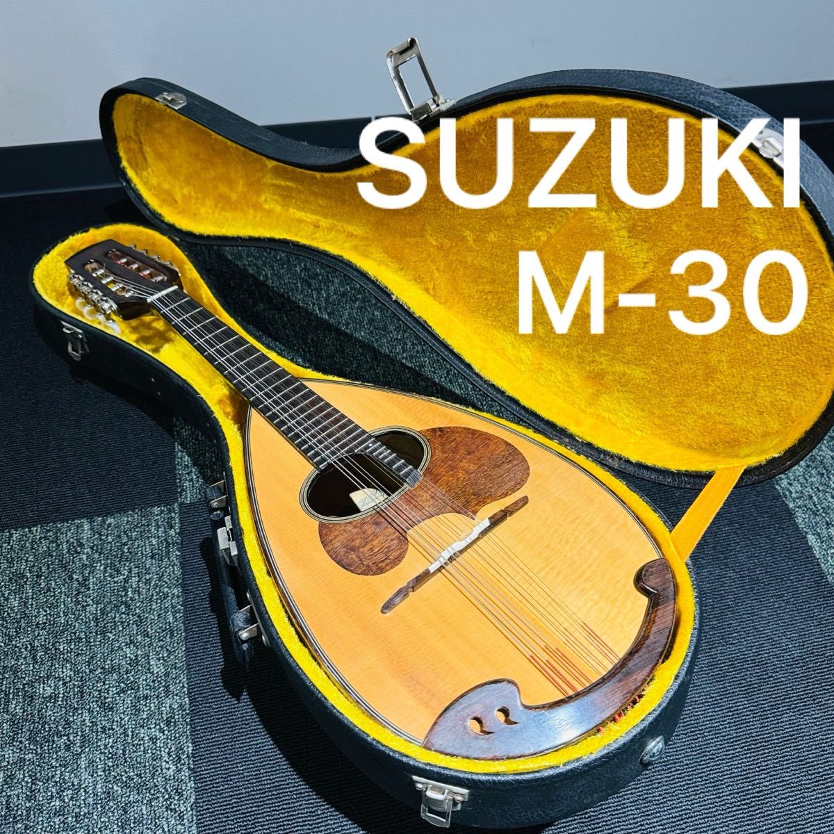 マンドリン SUZUKI M-30 8弦 ハードケース付き 弦楽器