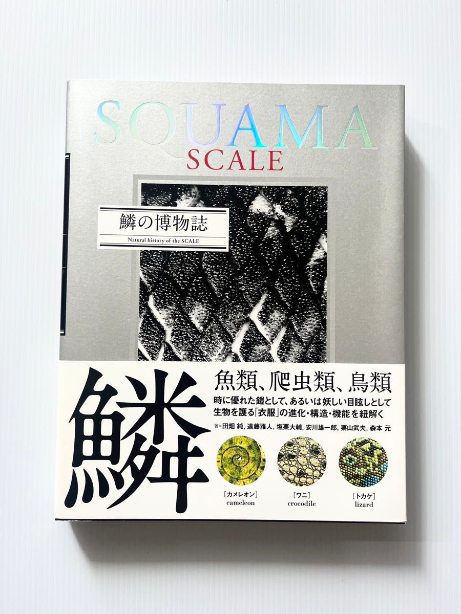 鳞の博物志田畑纯/着远藤雅人/着盐栗大辅/着安川雄一郎/着栗山武夫/着森本元/着