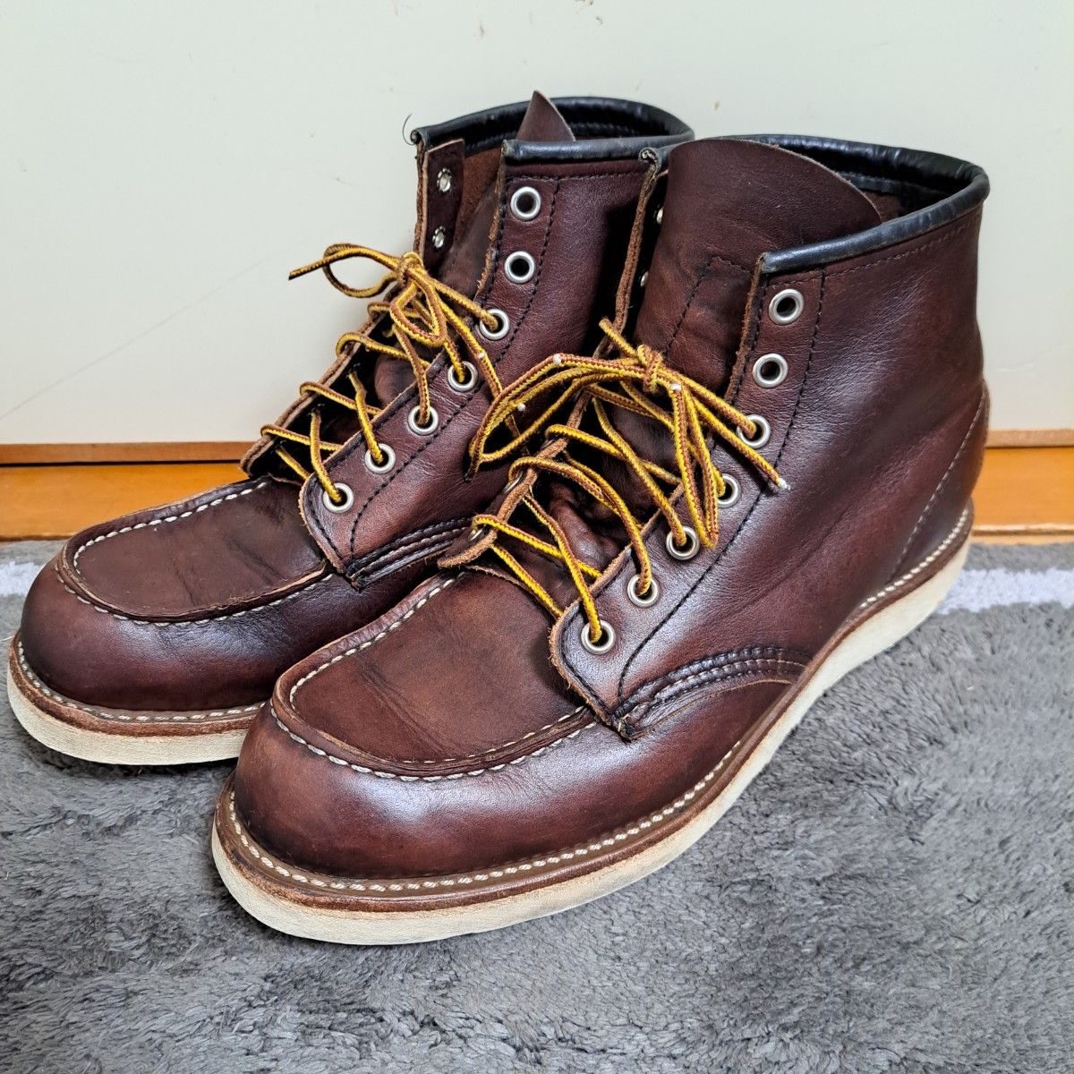 RED WING 红翼爱尔兰 setter 8138