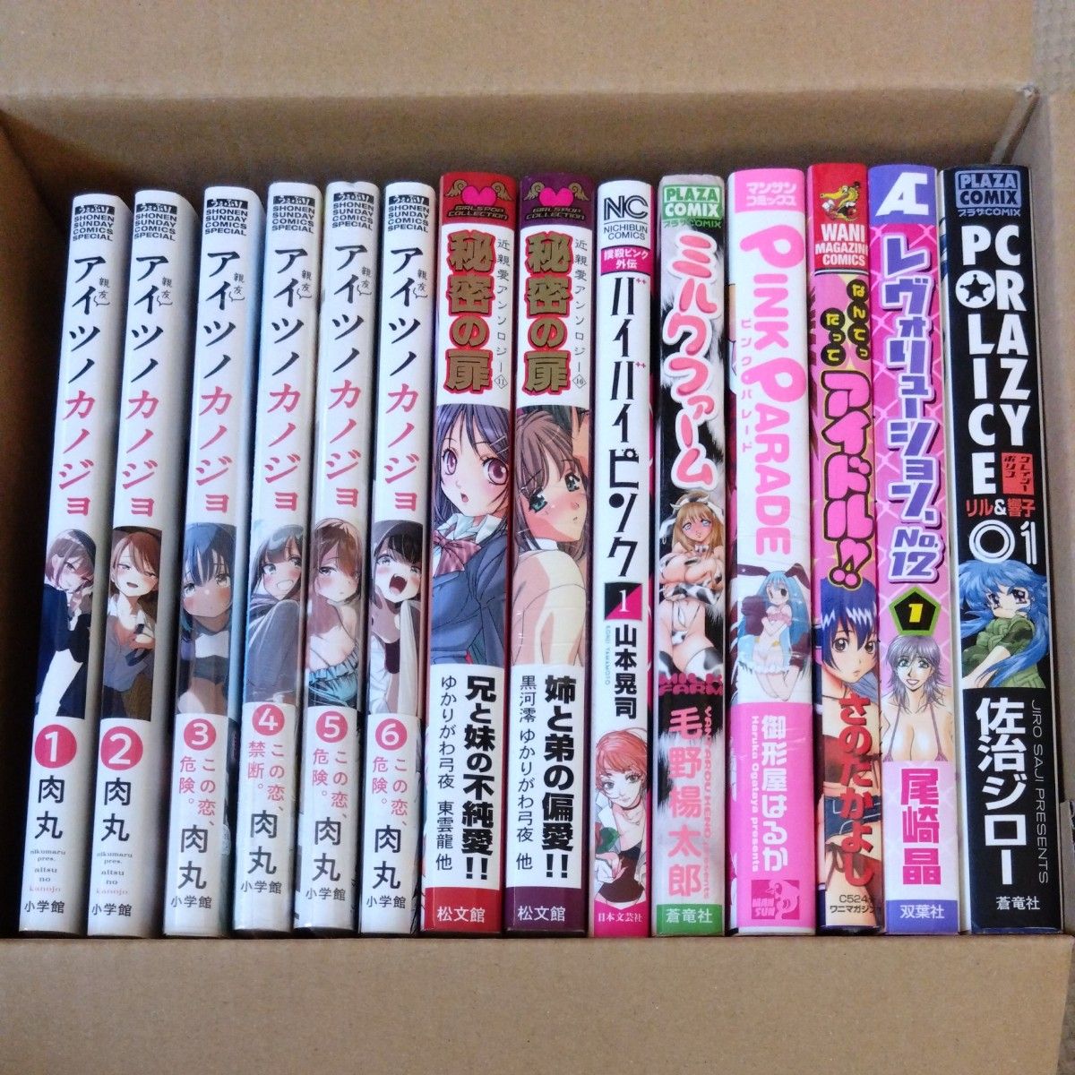 【24時間以内発送】▲漫画  14冊セット アイツノカノジョ　秘密の扉 レボリューション